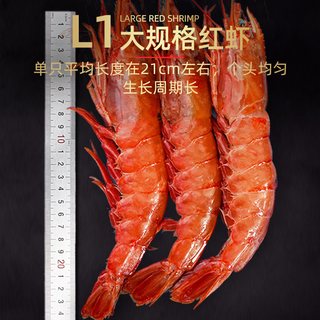 首鲜道 阿根廷红虾 L1规格 2kg 冷冻海鲜水产