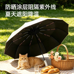mikibobo 甄选全自动开关雨伞 24骨加固 三折玻纤抗风晴雨伞