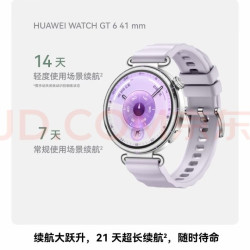 华为 WATCH GT 6 智能手表 41mm 流光紫 氟橡胶表带（北斗、GPS、血氧）