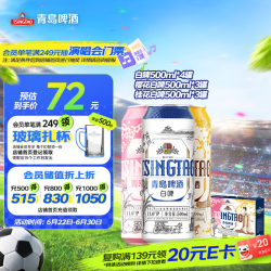 青岛啤酒 年货节 啤酒礼盒  礼盒装罐啤 500*10 500ml