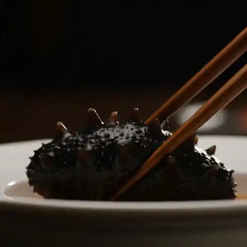 张奶奶 大连冷冻即食海参1000g 14-20头 礼盒装 (上海、北京、德州)