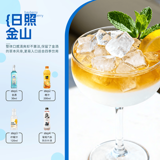 路易布兰登蓝宝石金酒40度700ml烈酒