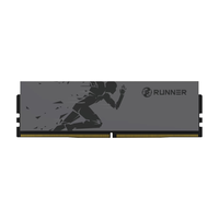 奔跑者 灵跃 DDR5 5600MHz CL46 钛晶灰 16GB 台式机内存条