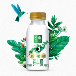 伊利 金典鲜牛奶 低温牛奶 235ml*12