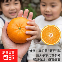 正宗四川高山沃柑新鲜当季水果大果桔子蜜橘砂糖柑橘整箱京东物流 带箱9斤果王（约净重8.6斤）