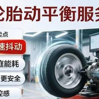 京东养车 单条轮胎动平衡（不含扒胎）