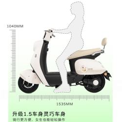 金箭 米乐 800W电机 60V21AH铅酸电池 暖咖色 电动摩托车