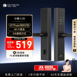 德施曼 V20 指纹密码解锁 智能门锁