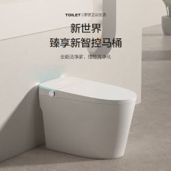 松鲸 智能马桶一体机 泡沫盾 脚感冲水 300mm坑距