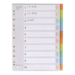 齐心 IX902 11孔A4分页纸 10色10页装 索引隔页标签
