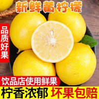 叶老三 海南黄柠檬26年新果大果250g