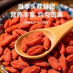 陇济堂 红枸杞 100g*2 头茬枸杞