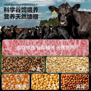 迈当牛 澳洲原切和牛牛尾骨 精修去油 1500g