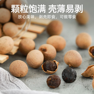 塞翁福 桂圆干 500g