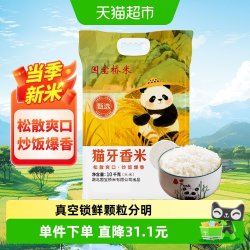 国宝桥米 甄选猫牙香米10kg南方籼米