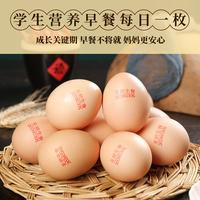 饮食乐 无抗富硒可生食鸡蛋 大码 40枚 生鲜蛋