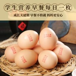 饮食乐 无抗富硒可生食鸡蛋 大码 40枚 生鲜蛋