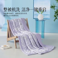 水星家纺 大豆纤维夏凉被 A类抗菌空调被子 可水洗薄被芯 [A类大豆云感夏被+可机洗]