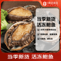 福字号 活冻大鲍鱼净重 500g12粒盒装