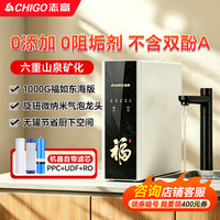 志高 1000G净水器家用直饮无罐厨下饮水机反渗透自来水过滤纯水机