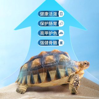 青色水景 通用型龟粮 虾干配方 50g