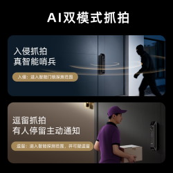凯迪仕 P30MPROMAX双摄AI版 人脸掌静脉识别 智能门锁