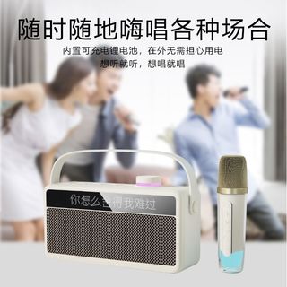 新科 蓝牙音响麦克风一体 KTV话筒 重低音音箱