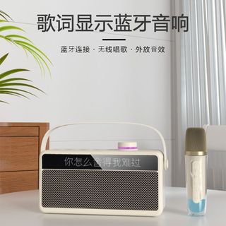 新科 蓝牙音响麦克风一体 KTV话筒 重低音音箱