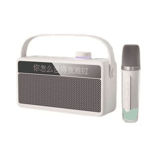 新科 蓝牙音响麦克风一体 KTV话筒 重低音音箱