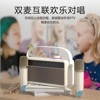 新科 蓝牙音响麦克风一体 KTV话筒 重低音音箱
