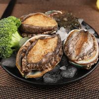 福字号 活冻大鲍鱼 500g12粒 贝类海鲜