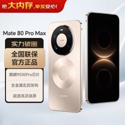 华为 Mate 80 Pro Max 手机 16GB+512GB 极昼金