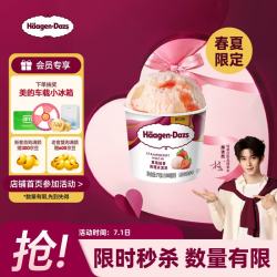 哈根达斯 冰淇淋  量贩装  600mL