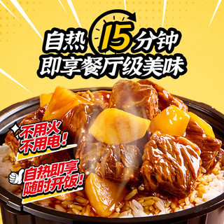 海底捞 自热米饭 红烧牛肉味 370g