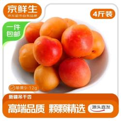 京鲜生 新疆吊干杏4斤装 单果9g+