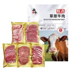 西牛优选 潮汕牛肉火锅套餐 750g