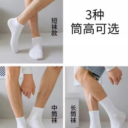 麦佳休袜子男女秋款四季款短筒船袜黑白灰中长筒休闲袜