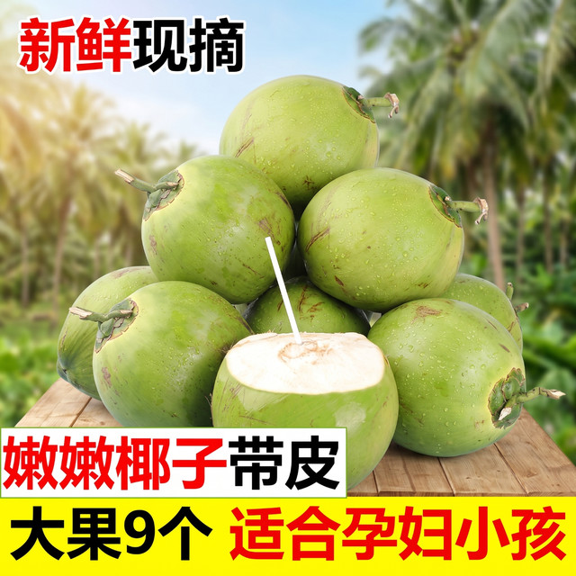 爆料鲜丰 海南文昌椰青 单果3斤左右 9个装