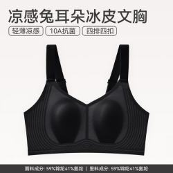 芬腾 小冰皮文胸女大胸显小夏季薄款