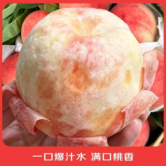今日必买：京鲜生 香甜多汁、地标产品！当季龙泉驿水蜜桃 12粒礼盒装