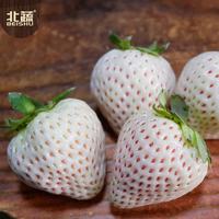 北蔬 白雪公主草莓种子 500粒