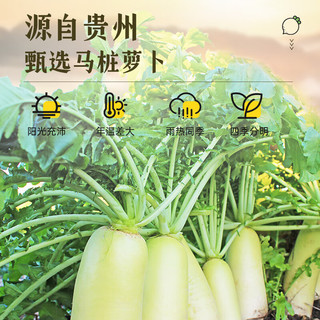 吉得利 寿司萝卜条 200g 袋装 泡菜咸菜