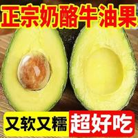 东鲜丰 牛油果新鲜鳄梨单果130g-160g 6枚（配芥末酱油）