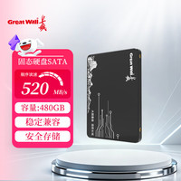 长城 SSD固态硬盘 SATA3.0接口 2.5英寸GW600光影系列
