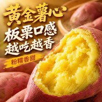 小憨哇 正宗板栗红薯 4斤