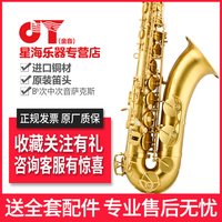 金音 萨克斯  次中音萨克斯风JYTS-A600降B调 初学专业演奏管乐器