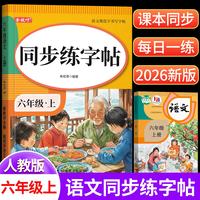金枝叶 六年级上册字帖2026新版语文同步练字帖小学生字帖练字专用每日一练笔画笔顺描红练字本儿童写字帖