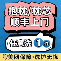 移动端：『家纺洗护』1个抱枕/枕芯/全城上门取送包邮