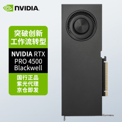 英伟达 RTX PRO 4500 Blackwell 32GB 建模渲染 视频绘图 设计师绘图 专业显卡图形卡 工业包装