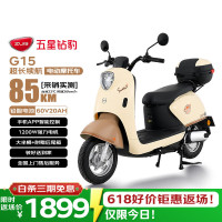 五星钻豹 G15 电动摩托车 60V20A